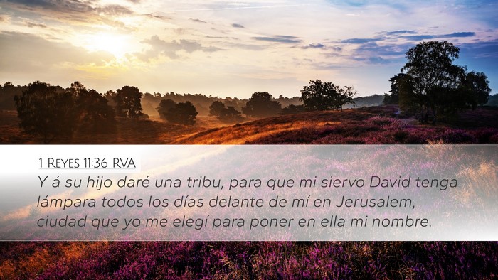 1 Reyes 11:36 RVA Desktop Wallpaper - Y á su hijo daré una tribu, para que mi siervo - Desktop Bible Verse Wallpaper