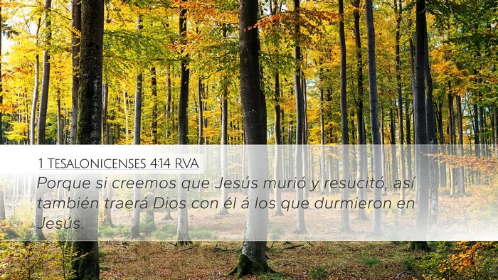 1 Tesalonicenses 4:14 RVA Bible Verse Image