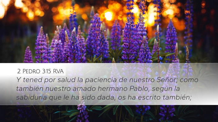 2 Pedro 3:15 RVA Desktop Wallpaper - Y tened por salud la paciencia de nuestro Señor; - Desktop Bible Verse Wallpaper