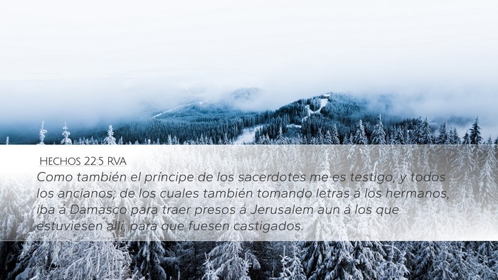 Hechos 22:5 RVA Desktop Wallpaper - Como también el príncipe de los sacerdotes me - Desktop Bible Verse Wallpaper