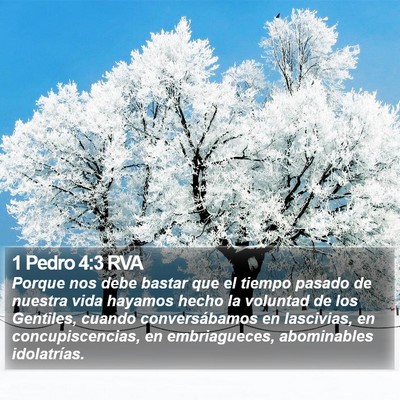 1 Pedro 4:3 RVA Bible Verse Image