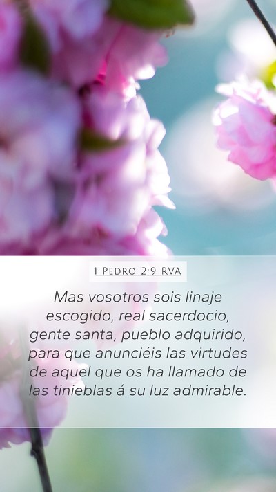 1 Pedro 2:9 RVA Mobile Phone Wallpaper - Mas vosotros sois linaje escogido, real - Mobile Bible Verse Wallpaper