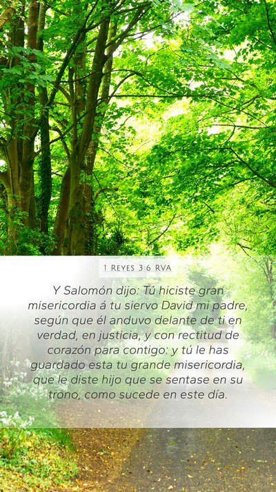 1 Reyes 3:6 RVA Mobile Phone Wallpaper - Y Salomón dijo: Tú hiciste gran misericordia á - Mobile Bible Verse Wallpaper