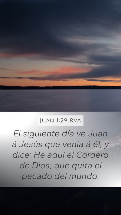 Juan 1:29 RVA Bible Verse Image