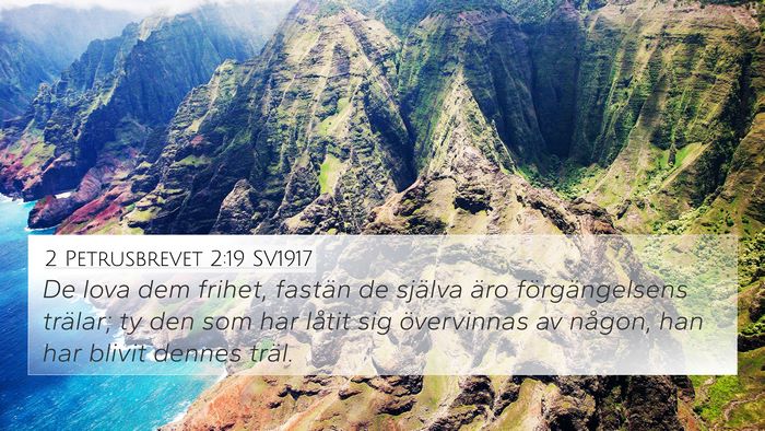 2 Petrusbrevet 2:19 SV1917 Bible Verse Image