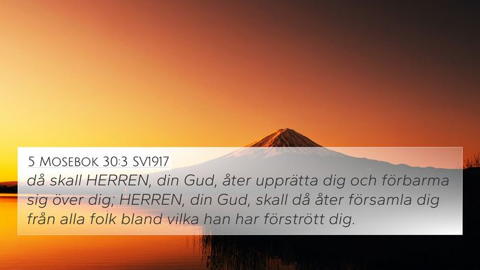 5 Mosebok 30:3 SV1917 4K Wallpaper - då skall HERREN, din Gud, åter upprätta dig - 4K Wallpaper Bible Verse