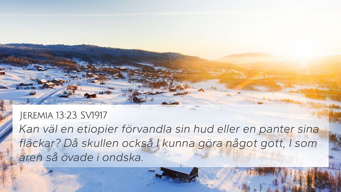 Jeremia 13:23 SV1917 4K Wallpaper - Kan väl en etiopier förvandla sin hud eller en - 4K Wallpaper Bible Verse