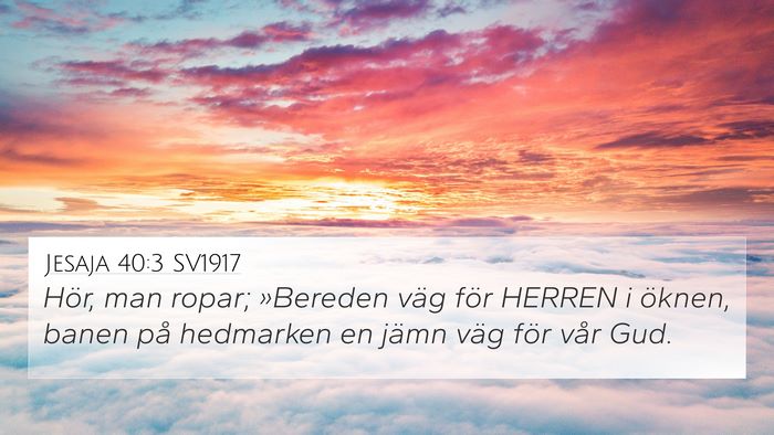 Jesaja 40:3 SV1917 4K Wallpaper - Hör, man ropar; »Bereden väg för HERREN i - 4K Wallpaper Bible Verse