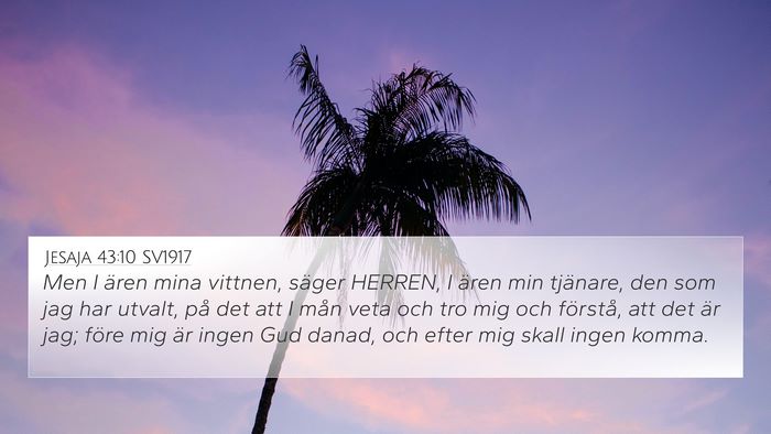 Jesaja 43:10 SV1917 4K Wallpaper - Men I ären mina vittnen, säger HERREN, I ären - 4K Wallpaper Bible Verse