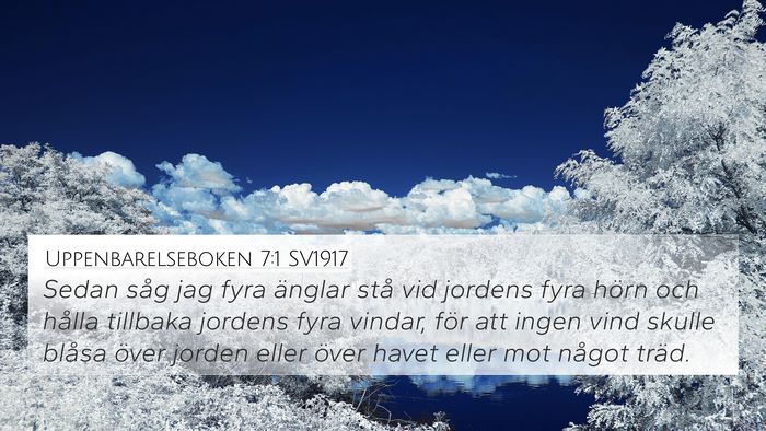 Uppenbarelseboken 7:1 SV1917 Bible Verse Image