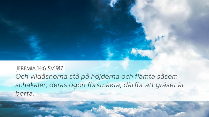 Jeremia 14:6 SV1917 Desktop Wallpaper - Och vildåsnorna stå på höjderna och flämta - Desktop Bible Verse Wallpaper