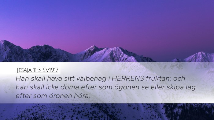 Jesaja 11:3 SV1917 Desktop Wallpaper - Han skall hava sitt välbehag i HERRENS fruktan; - Desktop Bible Verse Wallpaper