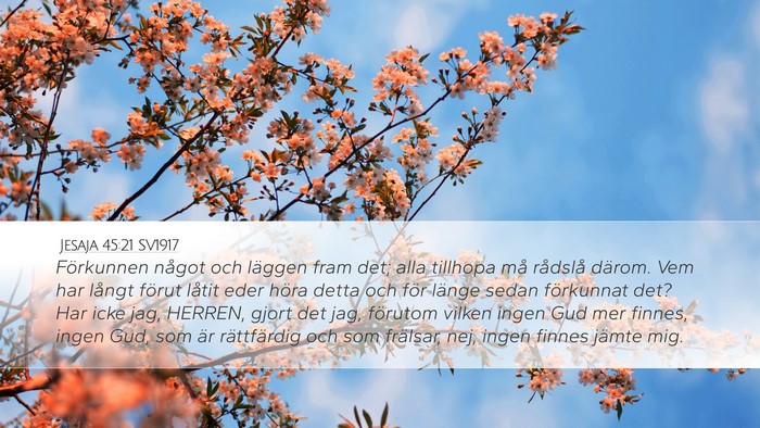 Jesaja 45:21 SV1917 Desktop Wallpaper - Förkunnen något och läggen fram det; alla - Desktop Bible Verse Wallpaper