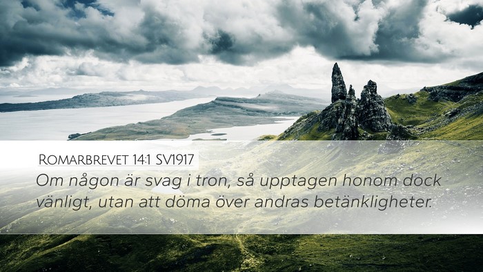 Romarbrevet 14:1 SV1917 Desktop Wallpaper - Om någon är svag i tron, så upptagen honom - Desktop Bible Verse Wallpaper