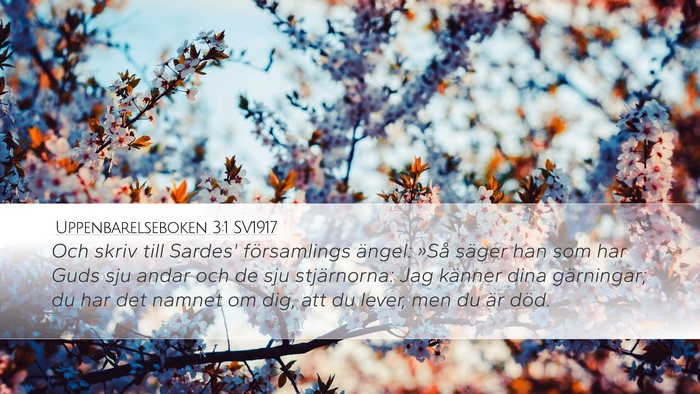 Uppenbarelseboken 3:1 SV1917 Desktop Wallpaper - Och skriv till Sardes' församlings ängel: »Så - Desktop Bible Verse Wallpaper