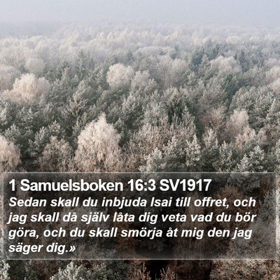 1 Samuelsboken 16:3 SV1917 Bible Verse Image