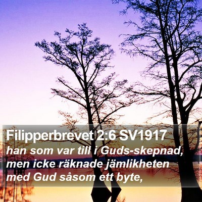 Filipperbrevet 2:6 SV1917 Bible Verse Image