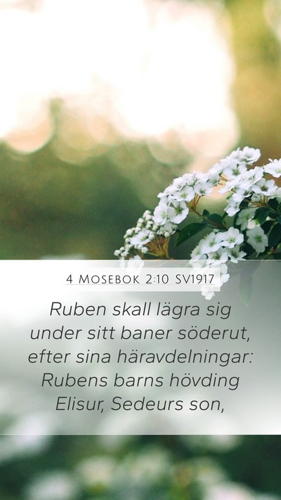 4 Mosebok 2:10 SV1917 Mobile Phone Wallpaper - Ruben skall lägra sig under sitt baner söderut, - Mobile Bible Verse Wallpaper