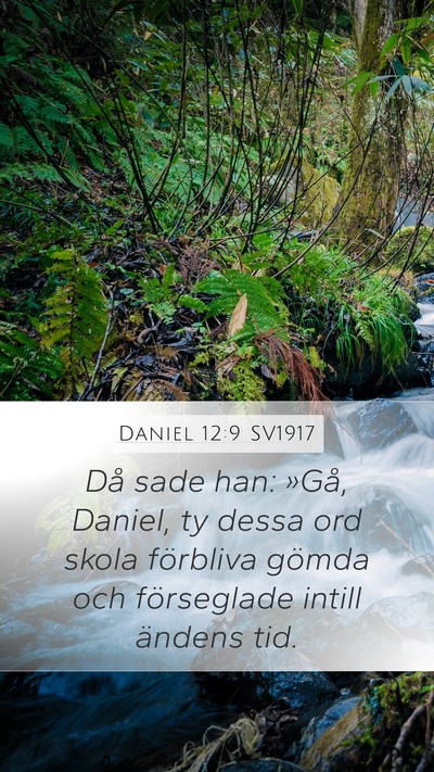 Daniel 12:9 SV1917 Bible Verse Image