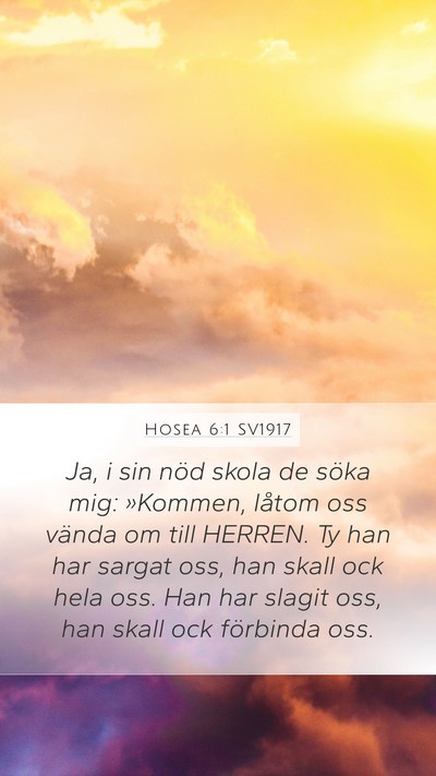 Hosea 6:1 SV1917 Mobile Phone Wallpaper - Ja, i sin nöd skola de söka mig: »Kommen, - Mobile Bible Verse Wallpaper