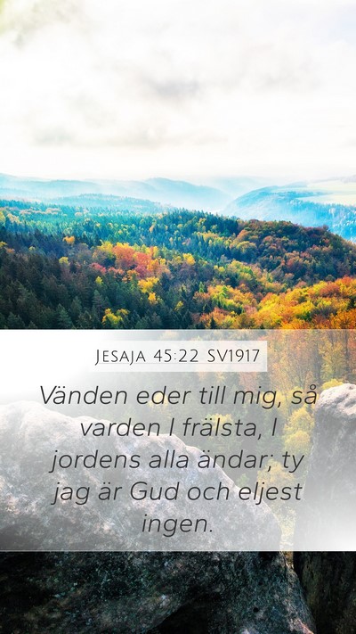 Jesaja 45:22 SV1917 Mobile Phone Wallpaper - Vänden eder till mig, så varden I frälsta, I - Mobile Bible Verse Wallpaper