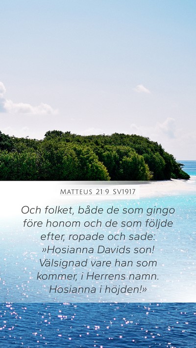 Matteus 21:9 SV1917 Mobile Phone Wallpaper - Och folket, både de som gingo före honom och de - Mobile Bible Verse Wallpaper