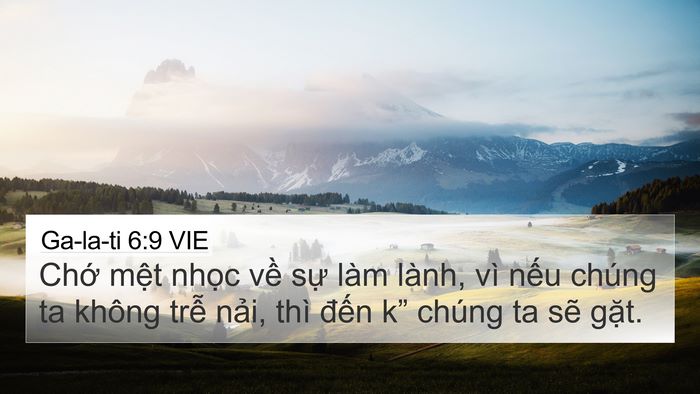 Ga-la-ti 6:9 VIE 4K Wallpaper - Chớ mệt nhọc về sự làm lành, vì - 4K Wallpaper Bible Verse