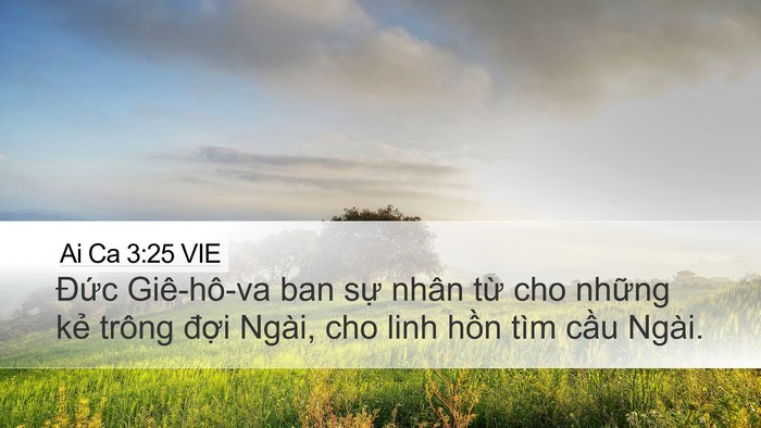 Ai Ca 3:25 VIE Desktop Wallpaper - Đức Giê-hô-va ban sự nhân từ cho - Desktop Bible Verse Wallpaper