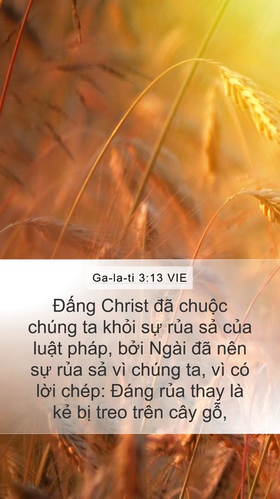 Ga-la-ti 3:13 VIE Mobile Phone Wallpaper - Đấng Christ đã chuộc chúng ta khỏi sự - Mobile Bible Verse Wallpaper