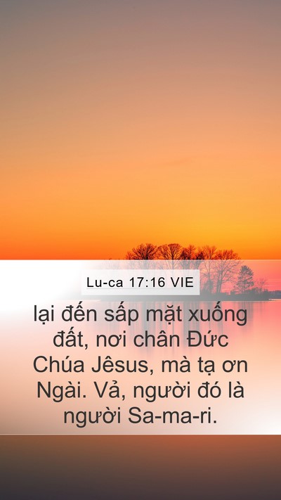 Lu-ca 17:16 VIE Mobile Phone Wallpaper - lại đến sấp mặt xuống đất, nơi - Mobile Bible Verse Wallpaper