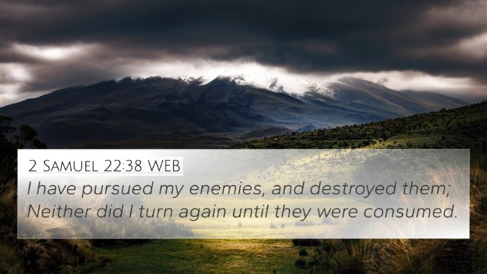 2 Samuel 22:38 WEB 4K Wallpaper - I have pursued my enemies, and destroyed them; - 4K Wallpaper Bible Verse