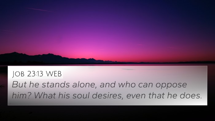 Job 23:13 WEB Bible Verse Image