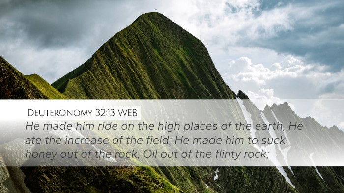 Deuteronomy 32:13 WEB Desktop Wallpaper - He made him ride on the high places of the earth, - Desktop Bible Verse Wallpaper