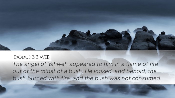 Exodus 3:2 WEB Desktop Wallpaper - The angel of Yahweh appeared to him in a flame of - Desktop Bible Verse Wallpaper