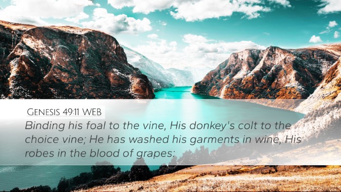 Genesis 49:11 WEB Bible Verse Image