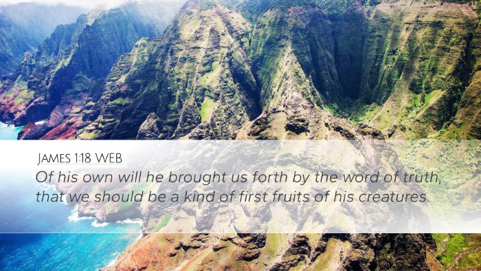 James 1:18 WEB Desktop Wallpaper - Of his own will he brought us forth by the word - Desktop Bible Verse Wallpaper