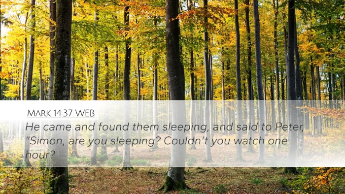 Mark 14:37 WEB Desktop Wallpaper - He came and found them sleeping, and said to - Desktop Bible Verse Wallpaper