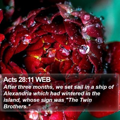 Acts 28:11 WEB Bible Verse Image