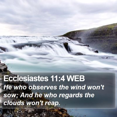 Ecclesiastes 11:4 WEB Bible Verse Image