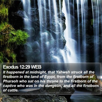 Exodus 12:29 WEB Bible Verse Image