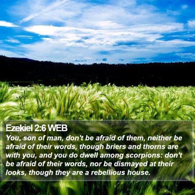 Ezekiel 2:6 WEB Bible Verse Image