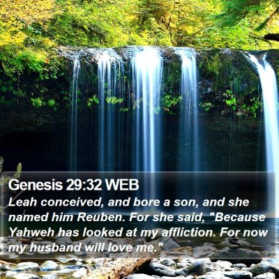 Genesis 29:32 WEB Bible Verse Image