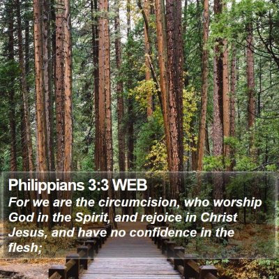 Philippians 3:3 WEB Bible Verse Image