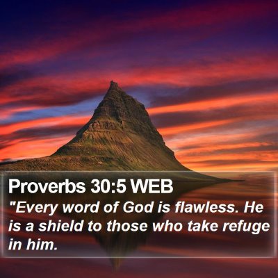 Proverbs 30:5 WEB Bible Verse Image