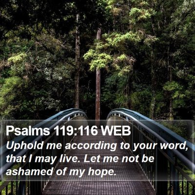 Psalms 119:116 WEB Bible Verse Image