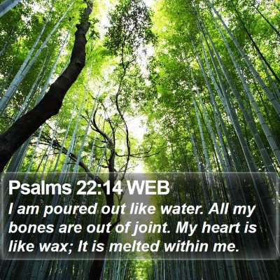 Psalms 22:14 WEB Bible Verse Image