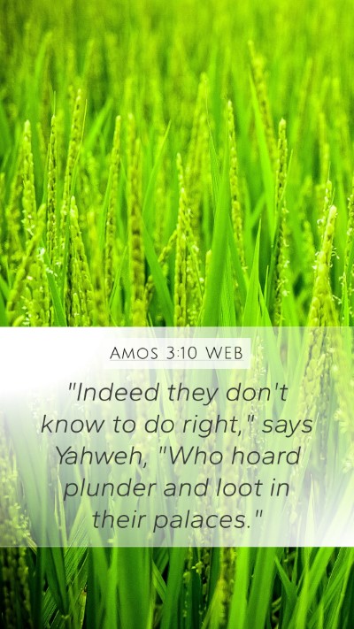 Amos 3:10 WEB Bible Verse Image