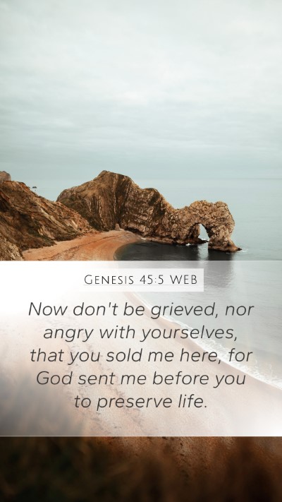 Genesis 45:5 WEB Mobile Phone Wallpaper - Now don't be grieved, nor angry with yourselves, - Mobile Bible Verse Wallpaper