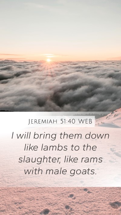 Jeremiah 51:40 WEB Mobile Phone Wallpaper - I will bring them down like lambs to the - Mobile Bible Verse Wallpaper