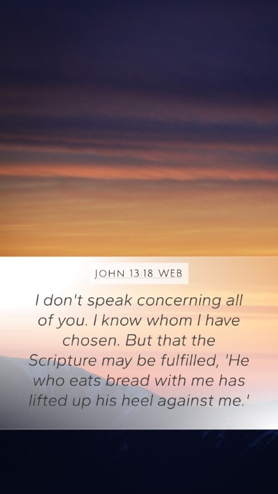 John 13:18 WEB Mobile Phone Wallpaper - I don't speak concerning all of you. I know whom - Mobile Bible Verse Wallpaper